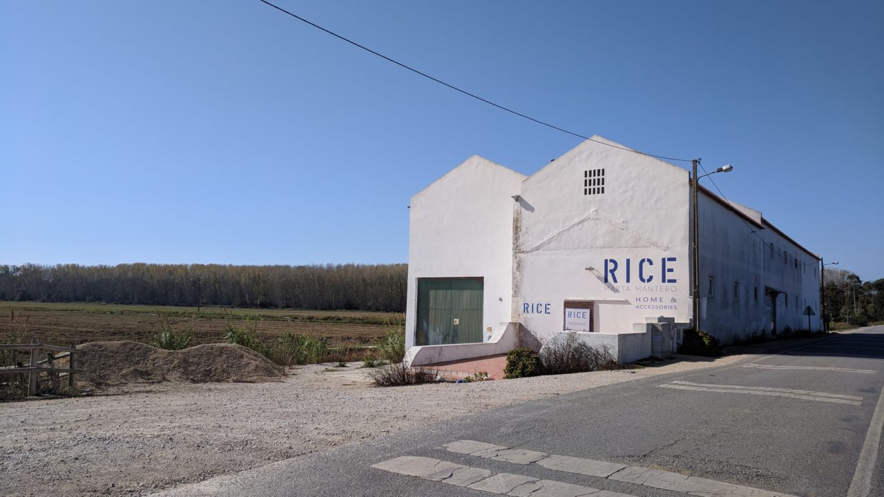 rice-museum-comporta