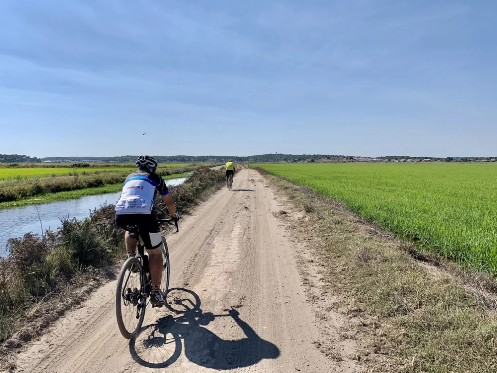 Rice-fields-bike